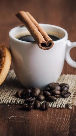 Brio Coffee Machine Price Brio Coffee Machine Price