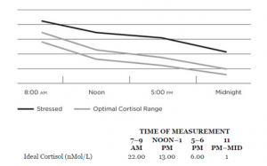 Andamento del cortisolo nelle 24h durante la prima fase di stress