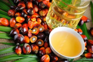 Olio di palma raffinato