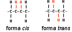 Acidi grassi cis e trans